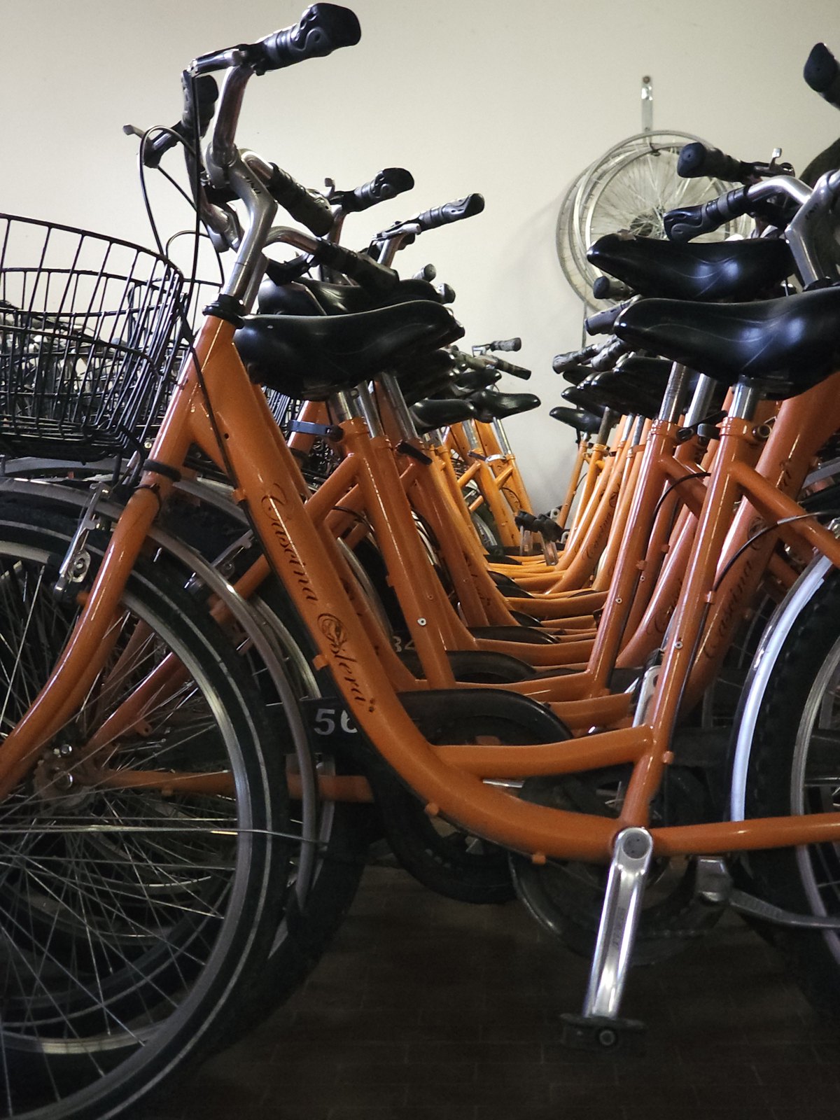 Flotta di biciclette a noleggio